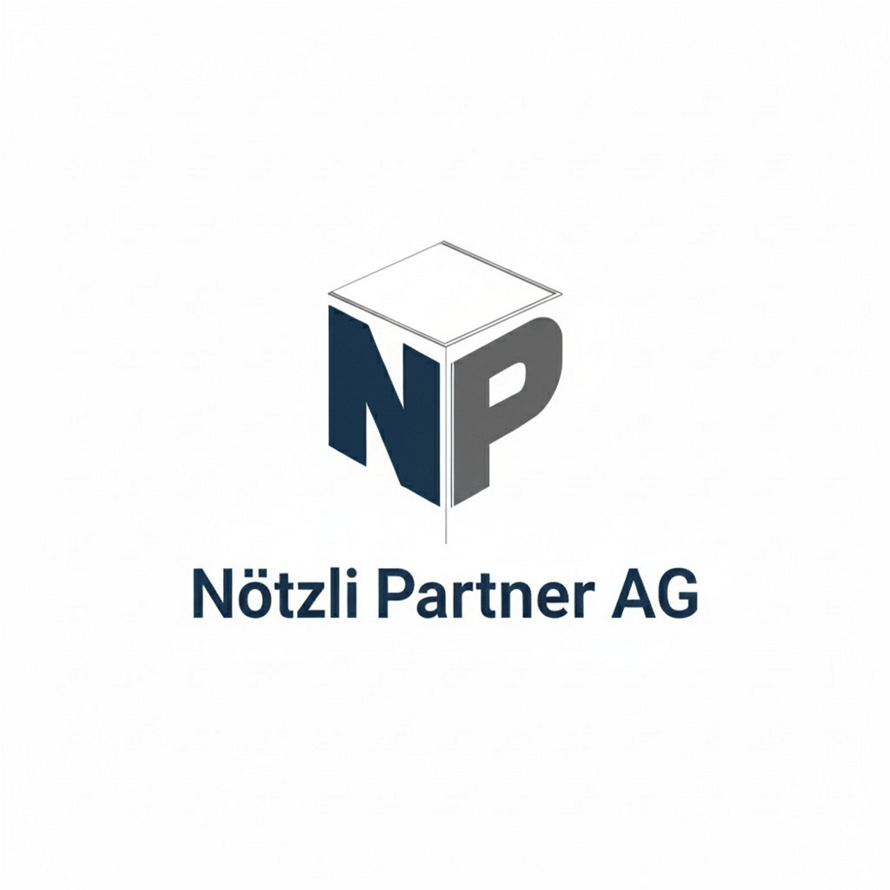 Nötzli Partner AG Logo